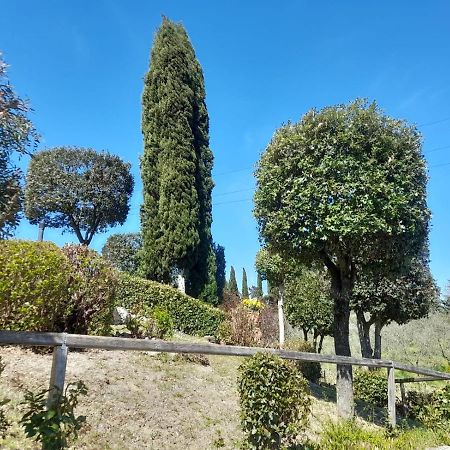 Villetta Dei Lecci كاستيلفيورينتينو المظهر الخارجي الصورة